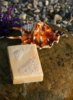 This photo of a bar of soap made from the extract of stinging nettle was taken by Danish photographer Malene Thysson.